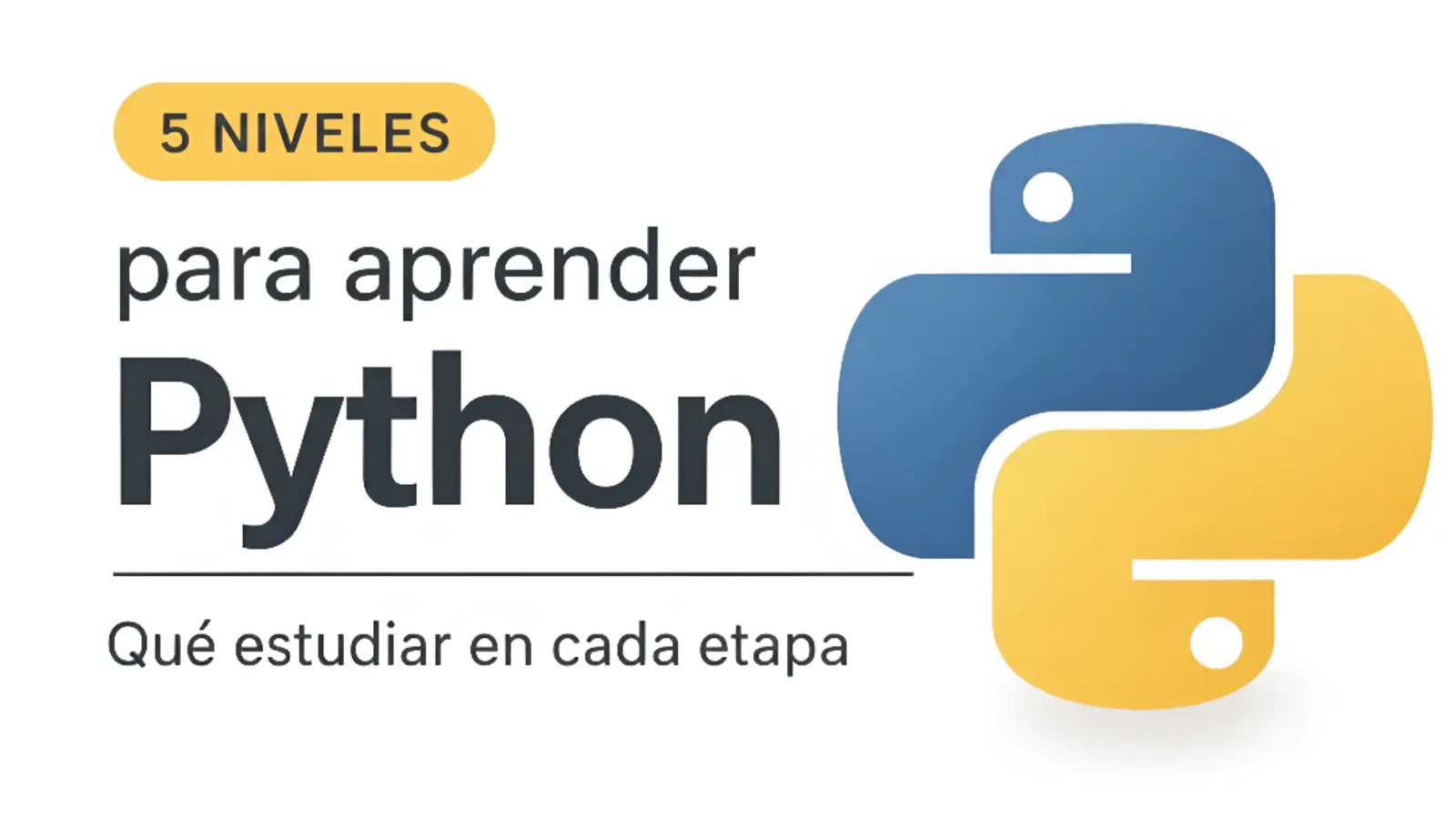 Los 5 niveles para aprender Python y qué estudiar en cada etapa